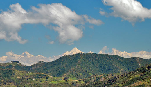 View of Nanda Devi from Jilling Estate in the Kumaon
